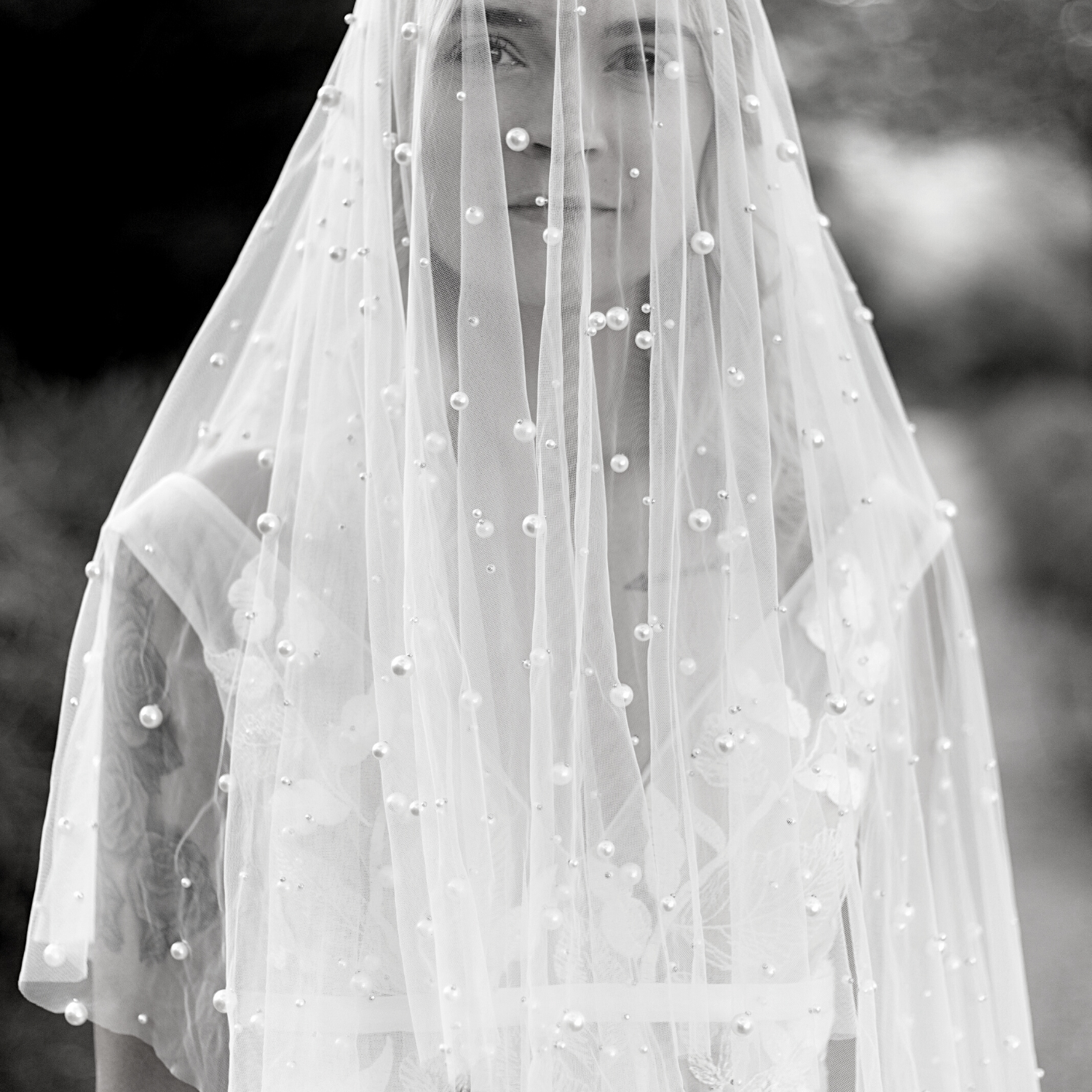 Veils and Accessories